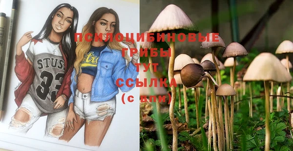 прущий лед Бугульма