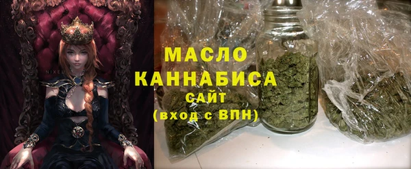 2c-b Бородино