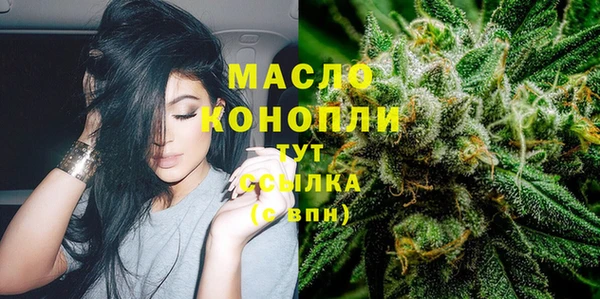 2c-b Бородино
