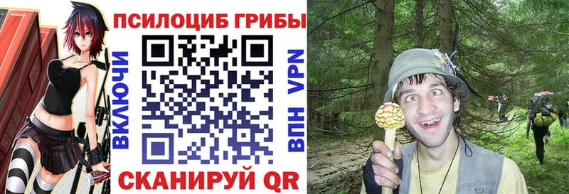 Галлюциногенные грибы мицелий  hydra как зайти  Вязники  цена  